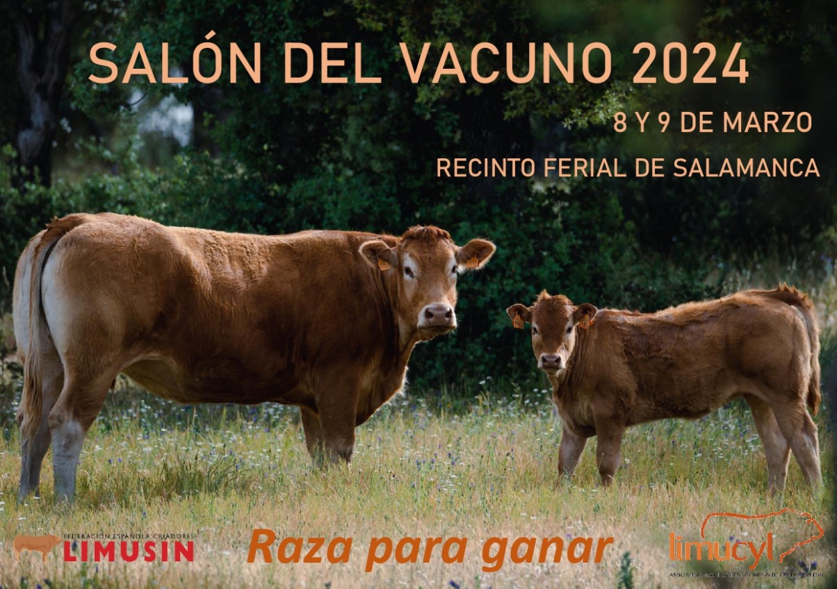 SALN DEL VACUNO 2024