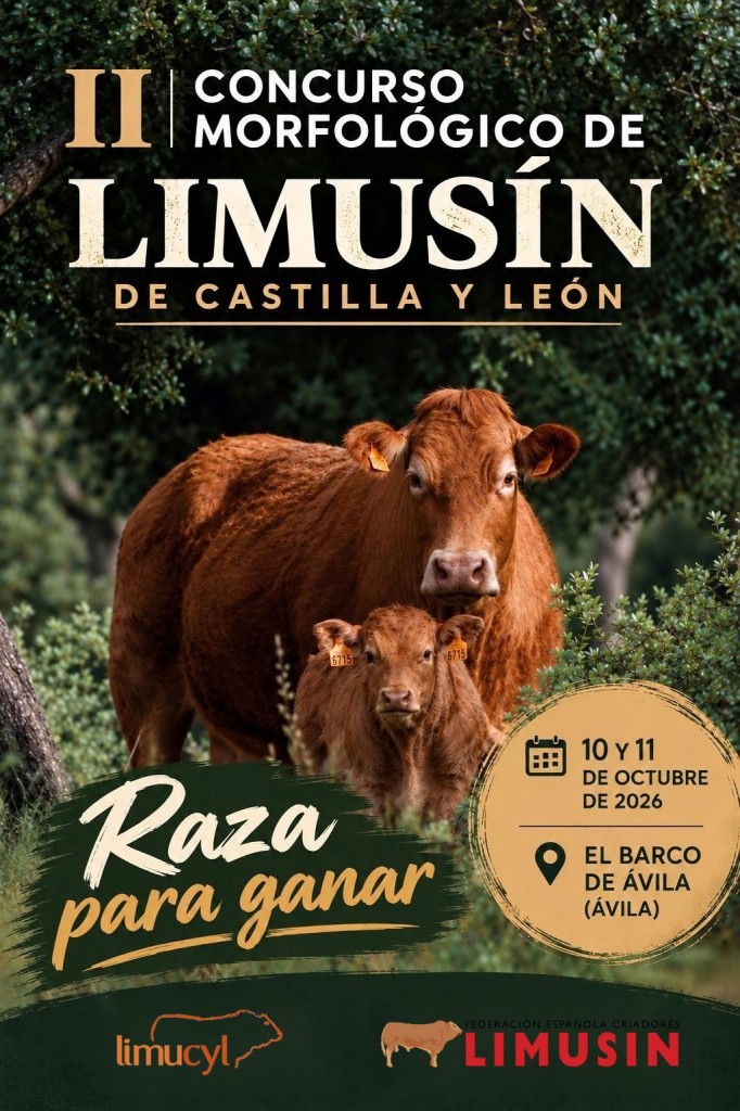 II CONCURSO MORFOLÓGICO DE LIMUSÍN DE CASTILLA Y LEÓN